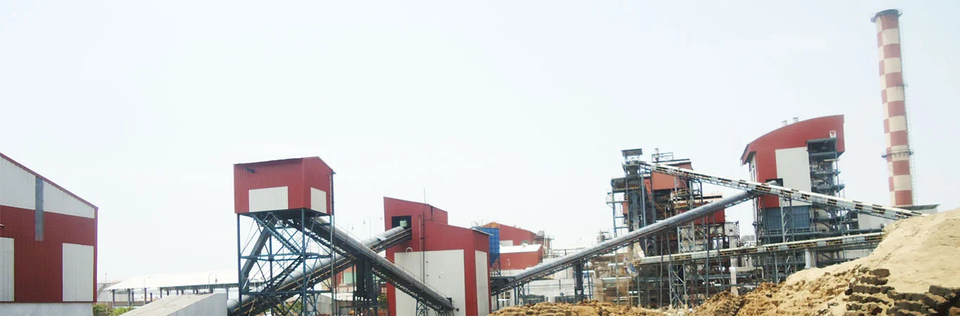 Coal Handling and Bagasse Handling System